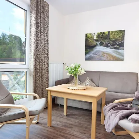 Apart-hotel Parkhotel Flora Bad Grund